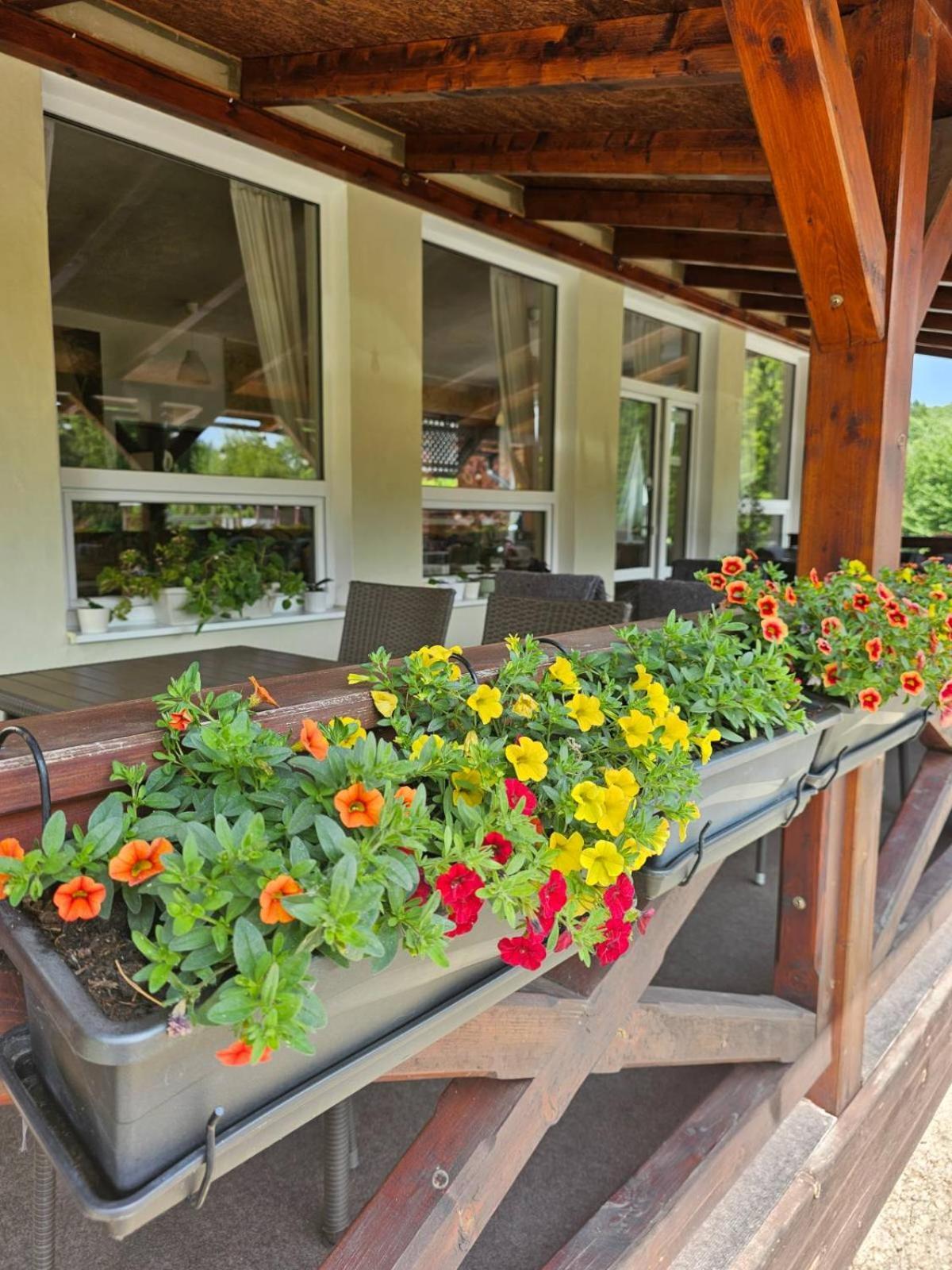 Villa Paradajs - Ubytovanie Pri Jazere Banská Štiavnica Kültér fotó