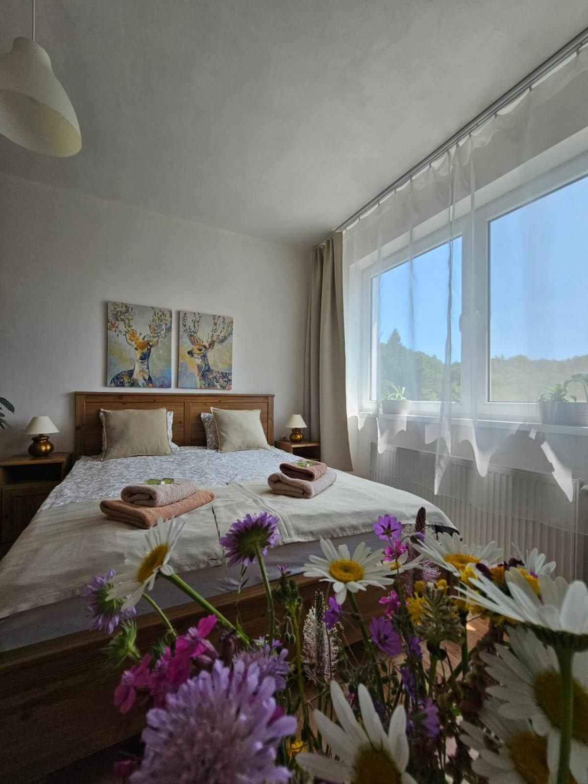 Villa Paradajs - Ubytovanie Pri Jazere Banská Štiavnica Kültér fotó