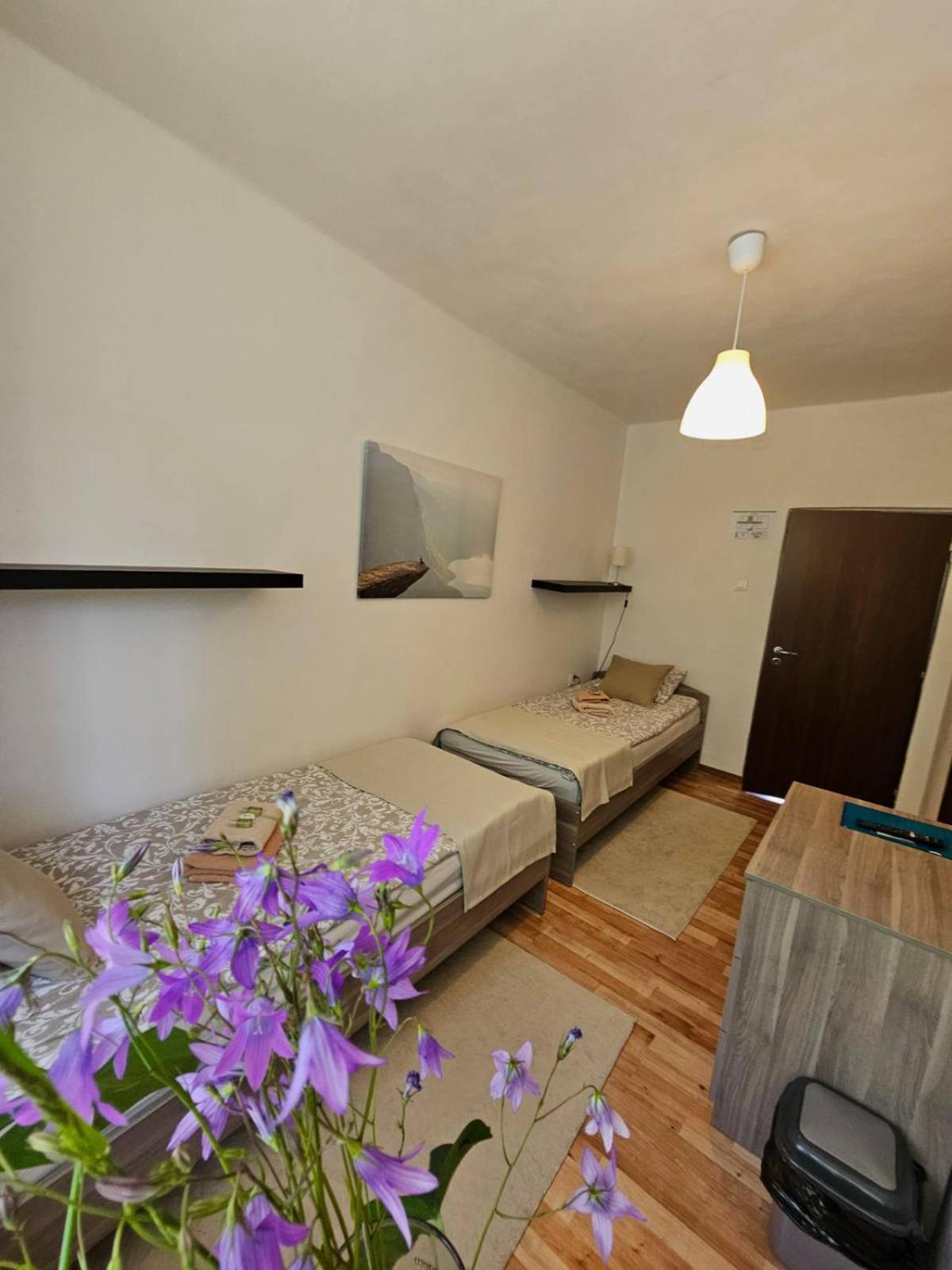Villa Paradajs - Ubytovanie Pri Jazere Banská Štiavnica Kültér fotó